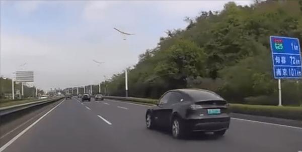 特斯拉白天刹车灯一直亮的原因与解决方法（探究特斯拉白天刹车灯持续亮的可能原因）-第1张图片-驰速用车